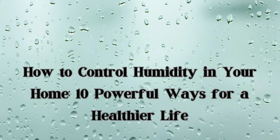 How to Control Humidity