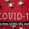 the New COVID XEC Variant