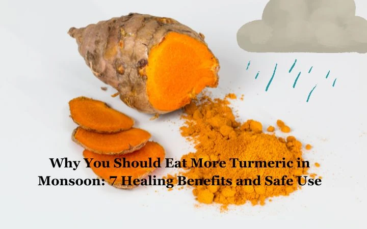 Turmeric in Monsoon