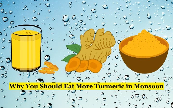 Turmeric in Monsoon