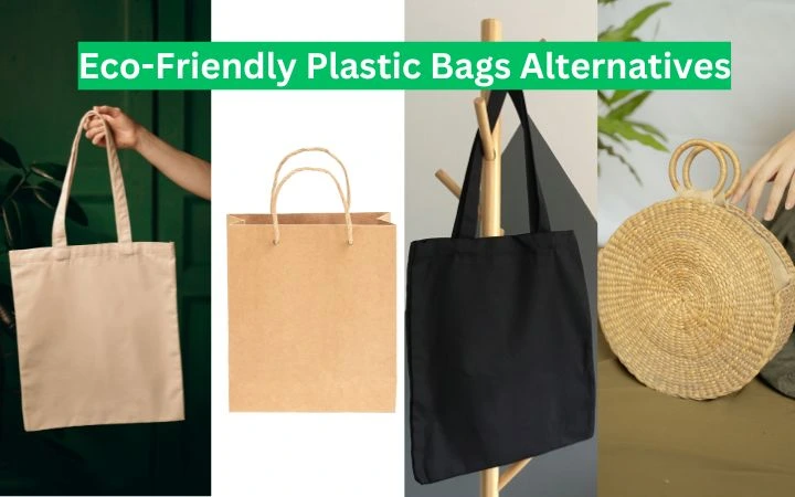 5 Biodegradable Plastic Bags Alternatives